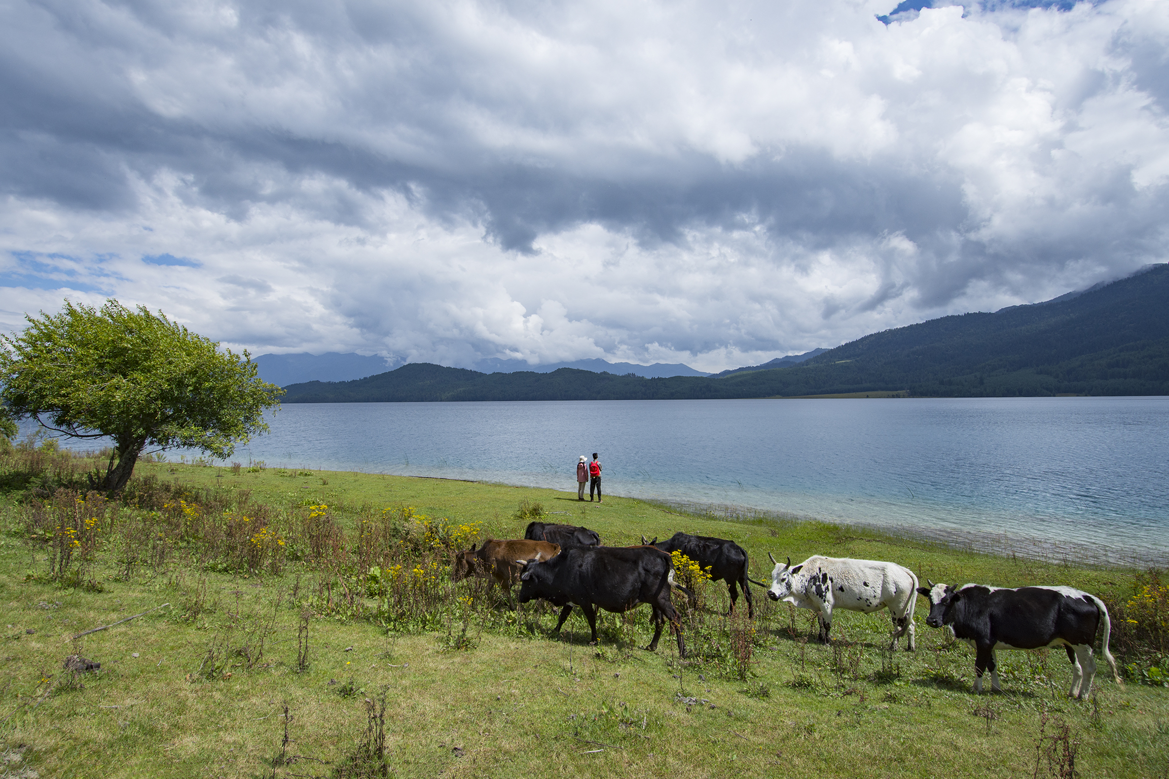 Rara Lake Trek